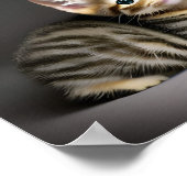 かわいいフワフワの猫ベビー ポスター (角)