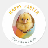 かわいいフワフワカラフルハッチイースター卵 ラウンドシール (正面)