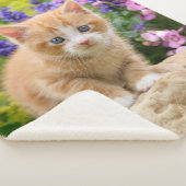 かわいいフワフワベビー猫花ペット シェルパブランケット (3/4)
