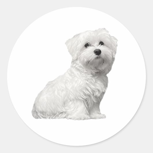 かわいいフワフワマルチーズリリ ラウンドシール (正面)