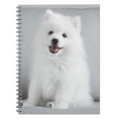 かわいいフワフワ日本のスピッツ子犬 ノートブック (正面)