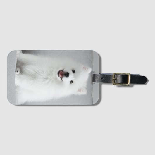 かわいいフワフワ日本のスピッツ子犬 ラゲッジタグ (正面横)