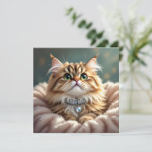 かわいいフワフワ猫 | 白紙 (スタンド正面)