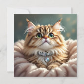 かわいいフワフワ猫 | 白紙 (正面)