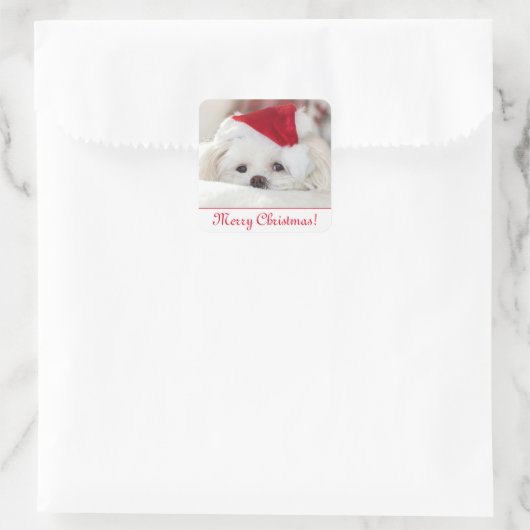 かわいいフワフワ白マルチーズパピードインザサンタハット スクエアシール (バッグ)