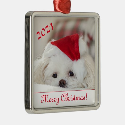 かわいいフワフワ白マルチーズパピードインザサンタハット メタルオーナメント (右)