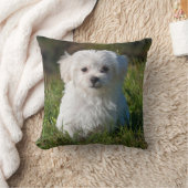 かわいいフワフワ白マルチーズ子犬 クッション (ブランケット)