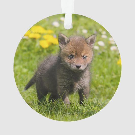 かわいいフワフワ赤キツネかわいい赤ちゃん動物 –  オーナメント (裏面)