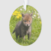 かわいいフワフワ赤キツネかわいい赤ちゃん動物 –  オーナメント (正面)