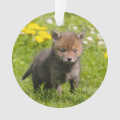 かわいいフワフワ赤キツネかわいい赤ちゃん動物 –  オーナメント (正面)