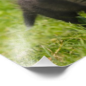 かわいいフワフワ赤キツネカブワイルドアニマルベビー- フォトプリント (角)