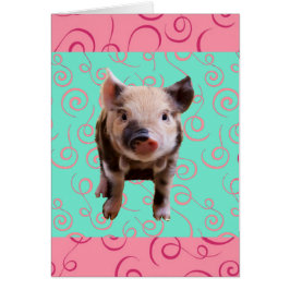 かわいいブタ-青及びピンクの渦巻