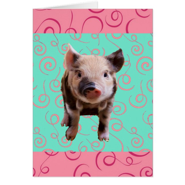 かわいいブタ-青及びピンクの渦巻 (正面)