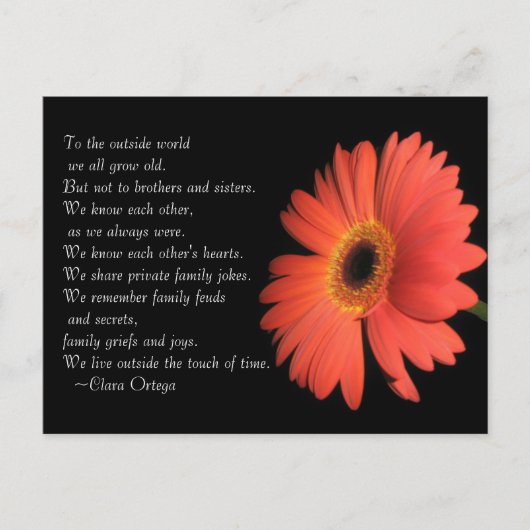 かわいいブラザー/シスター兄弟姉妹誕生日 ポストカード (正面)