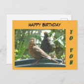 かわいいブラックバーズペアハッピーバースデーお客様。ポストカード ポストカード (正面/裏面)