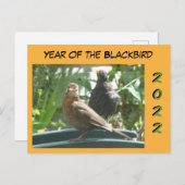 かわいいブラックバーズペア年2022お客様。ポストカード ポストカード (正面/裏面)