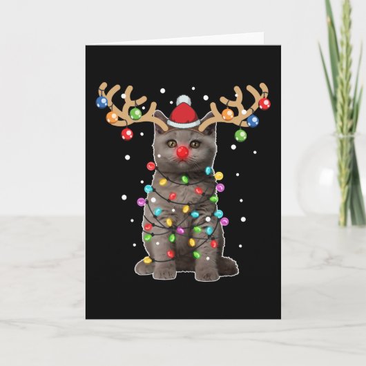 かわいいブリティッシュショートヘア猫　面白いクリスマスホリデー カード (正面)
