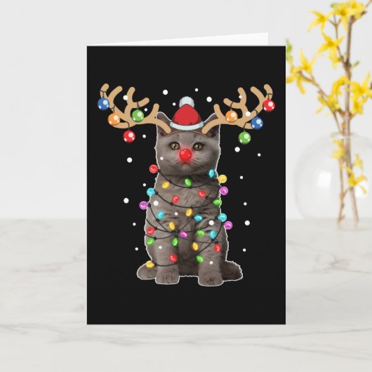 かわいいブリティッシュショートヘア猫　面白いクリスマスホリデー カード (黄色い花)