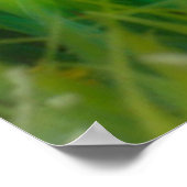 かわいいブリティッシュ・ショートヘアの子猫たち|過去記事 ポスター (角)