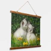 かわいいブリティッシュ・ショートヘアの子猫たち|過去記事 吊り下げ型タペストリー (傾斜あり)