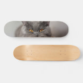 かわいいブリティッシュ・ショートヘア スケートボード (横)
