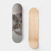 かわいいブリティッシュ・ショートヘア スケートボード (正面)