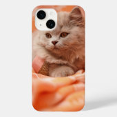 かわいいブリティッシュ・ショートヘア Case-Mate iPhoneケース (裏面)