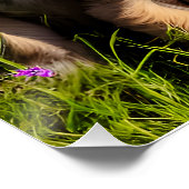 かわいいブリュッセルグリフォンパピーズ ポスター (コーナー)