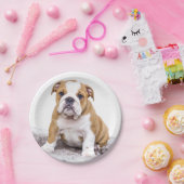 かわいいブルドッグの子犬が座って ペーパープレート (パーティー)