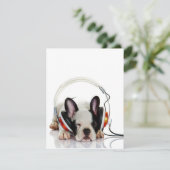 かわいいブルドッグ眠る | Englishブルドッグ愛好家 招待状 (スタンド正面)