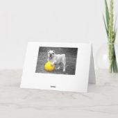 かわいいブルドッグ(おじぎ空白の用) カード (裏面)