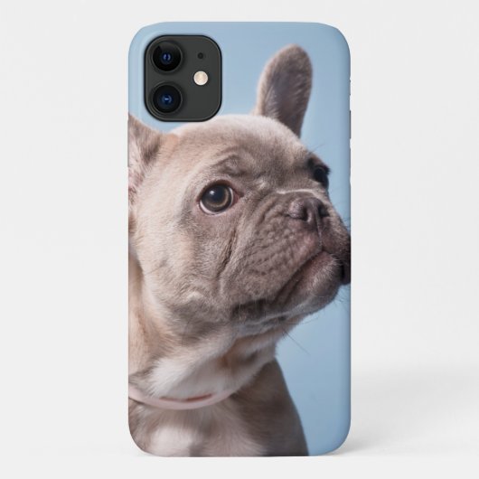 かわいいブルドフランスのッグ Case-Mate iPhoneケース (裏面)