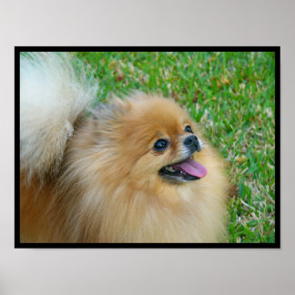 かわいいブロンド ポスター