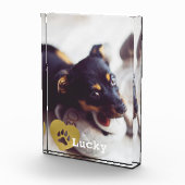 かわいいプリント金ゴールドポープリントペットフォト フォトブロック (右)