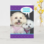 かわいいプーチョン犬-プーチズグラシアスありがとう カード (黄色い花)