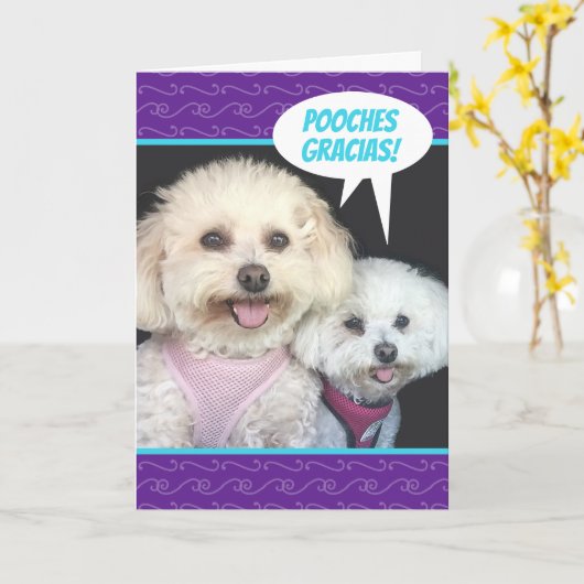 かわいいプーチョン犬-プーチズグラシアスありがとう カード (黄色い花)