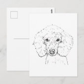 かわいいプードルのイラスト、手描き ポストカード (正面/裏面)