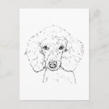 かわいいプードルのイラスト、手描き