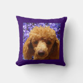 かわいいプードル クッション (正面)