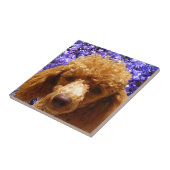 かわいいプードル タイル (側面)