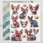 かわいいヘアレスキットンイラスト (正面/裏面)