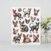 かわいいヘアレス猫イラスト (スタンド正面)