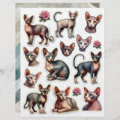 かわいいヘアレス猫イラスト (正面/裏面)