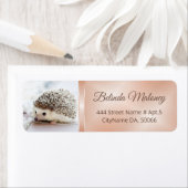 かわいいヘッジホグバックバラ金ゴールドバックトゥスクール ラベル (インサイチュ)