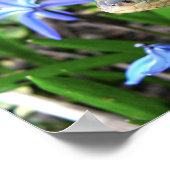 かわいいヘビ ポスター (角)