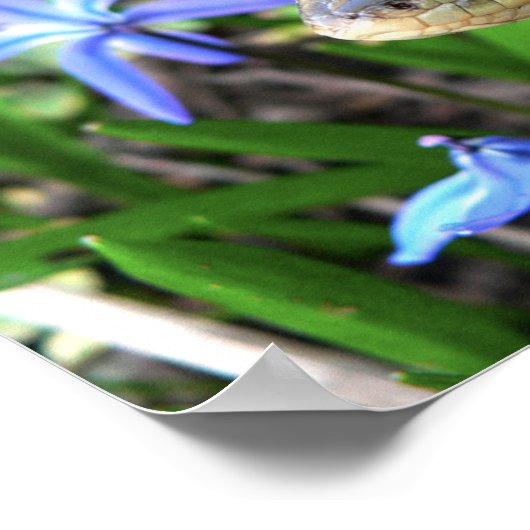 かわいいヘビ ポスター (角)