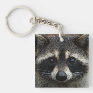 かわいいベビーのアライグマの顔の終わりかわいらしい目と キーホルダー
