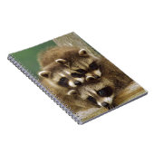 かわいいベビーのアライグマ ノートブック (右側)