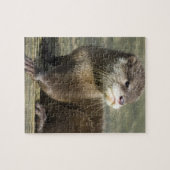 かわいいベビーのカワウソ ジグソーパズル (横)