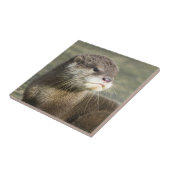 かわいいベビーのカワウソ タイル (側面)